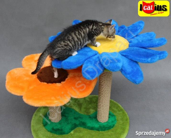 Drapak kota Icatius Wyjątkowy Łódź