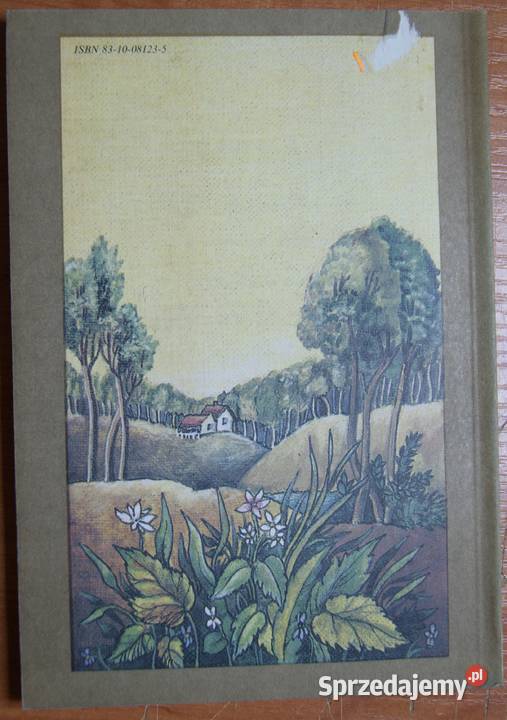 Lucy Maud Montgomery Dolina Tęczy Parczew sprzedam