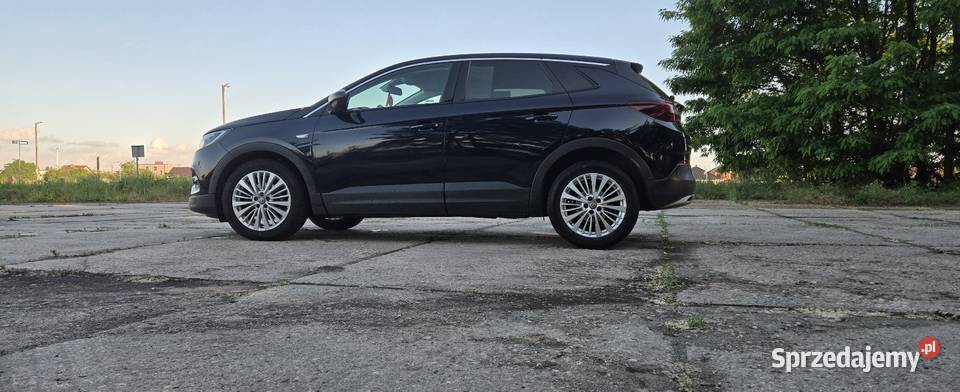 Opel Grandland X wielkopolskie Leszno sprzedam