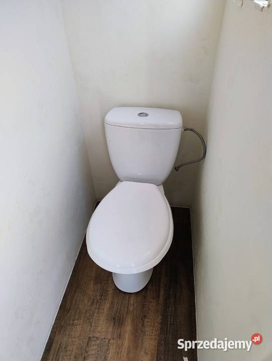 Sezonowy domek holenderski możliwość transportu kujawsko-pomorskie Brzozie