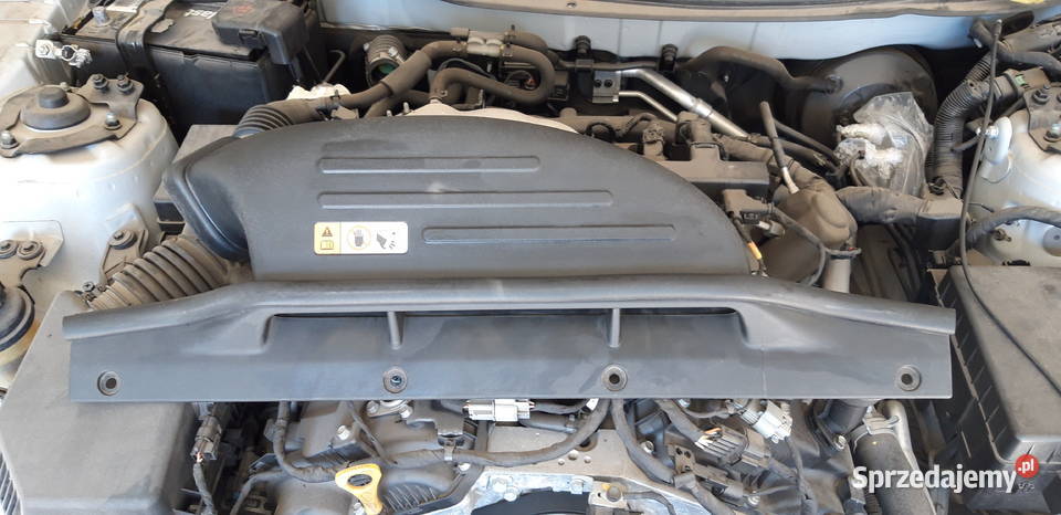 dolot powietrzaobudowa filtra hyundai genesis mazowieckie Siedlce