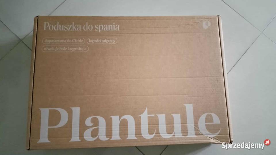 Poduszka Plantule Pillows 60x45 łuska gryki beżowy Łodygowice