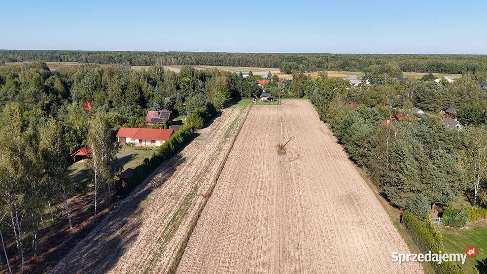 Działka 3013 m w Jedlance jeziora i lasu Jedlanka
