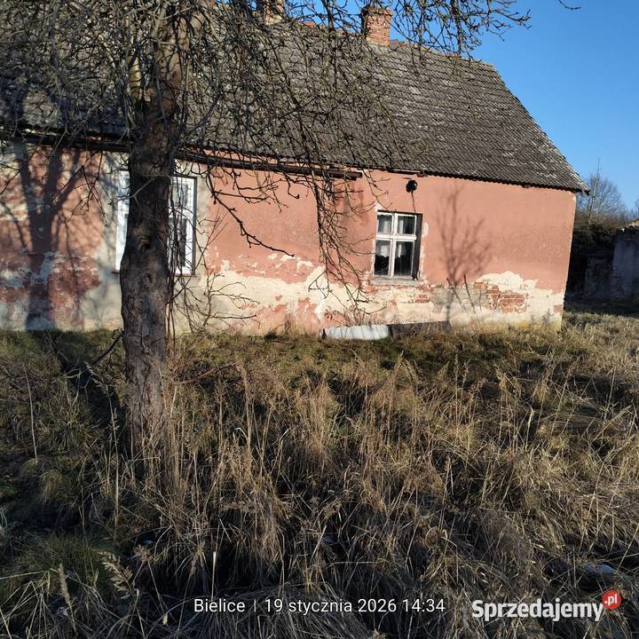 Własność Słubice sprzedam