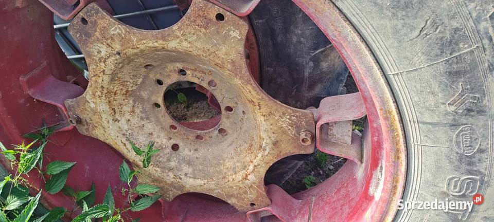 gwiazda tarcza koła zetor Tuszów