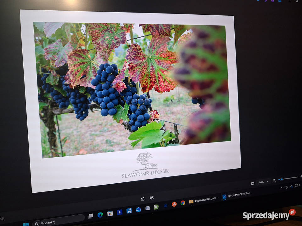 Monitor LED Samsung S28BG700EP 28 3840 x 2160 Biłgoraj sprzedam