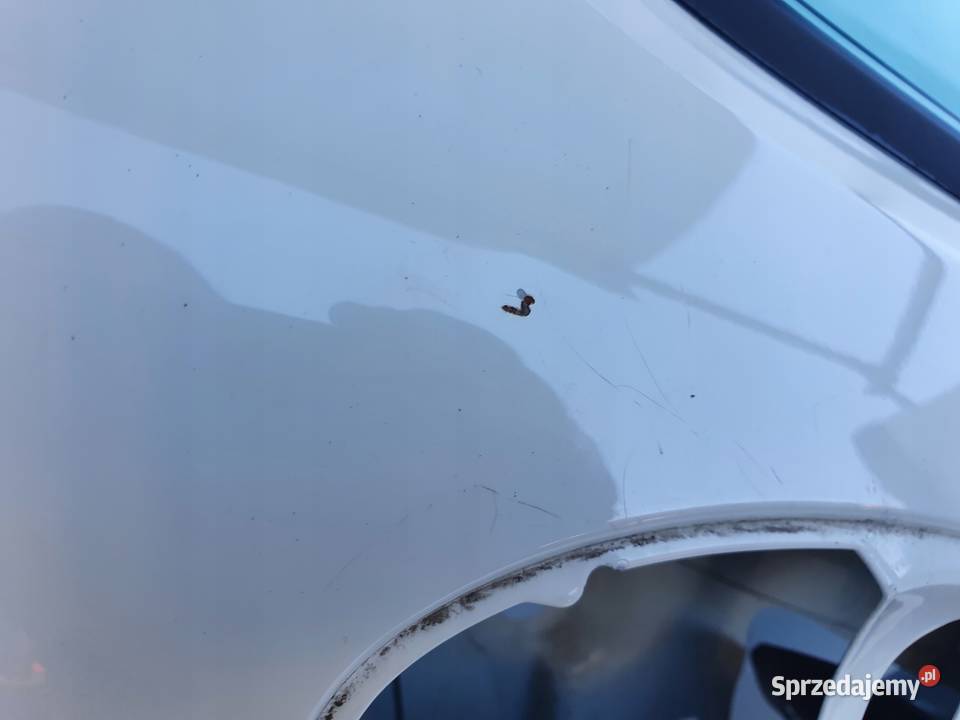 Saab 95 95 TYLNE TYLNIE DRZWI PRAWE PRAWY TYŁ osobowe