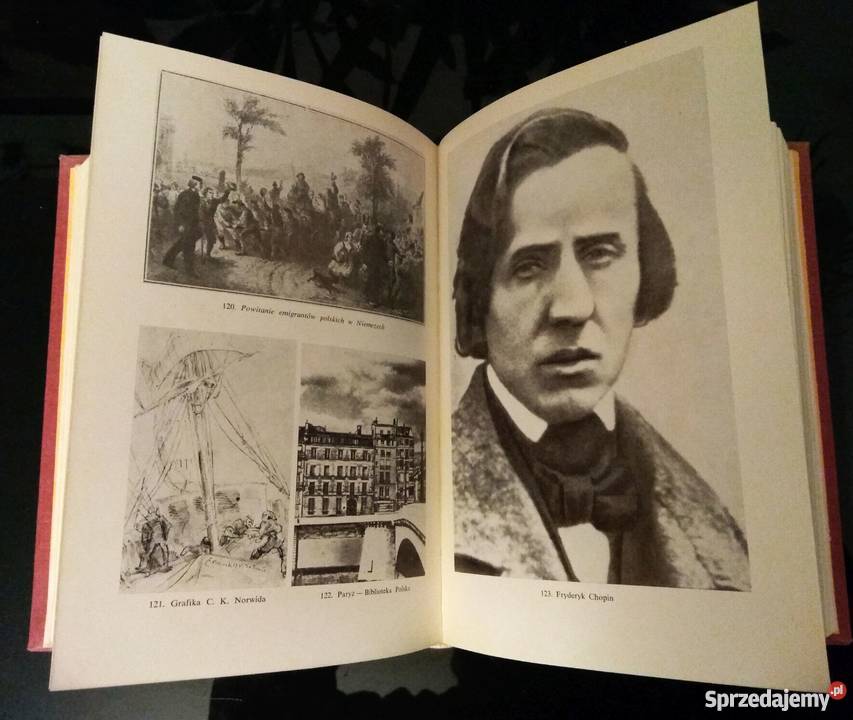 Literatura Polska sredniowiecza do pozytywizmu Warszawa