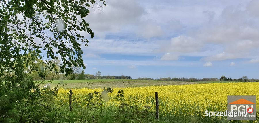 sprzedaży działki Gryfice 1633m2 gaz