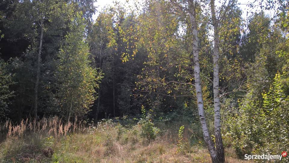 Działka Rolna położona w otulinie Bolimowskiego Sokule sprzedam