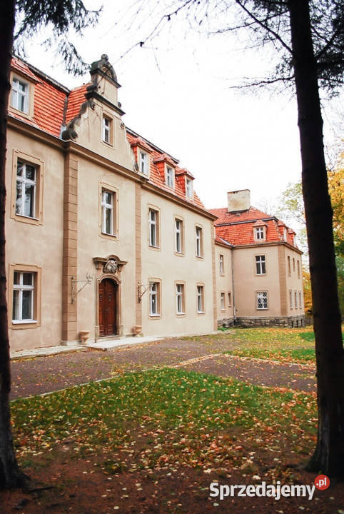 sprzedaży lokalu Wałbrzych 5000m2 5000m2 Sprzedaż sprzedam