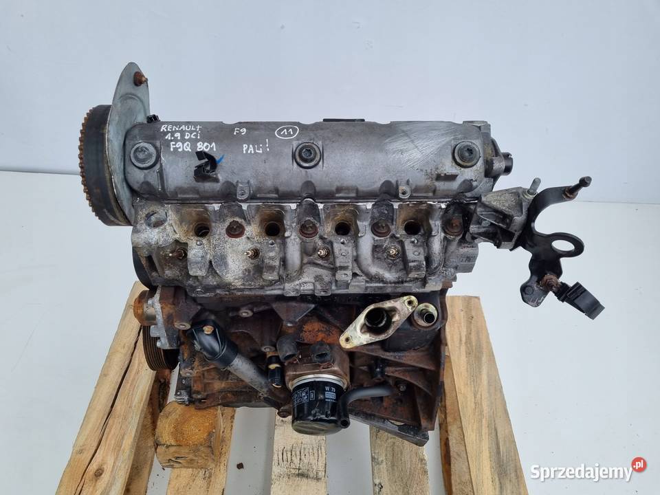 SILNIK Renault Megane II 19 DCI 131 F9Q801 F9 Silniki kompletne Rudka