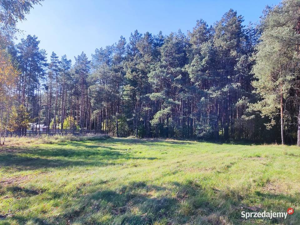 2 działki budowlane 2x 800 m2 Grębiszew Mińsk Sprzedaż