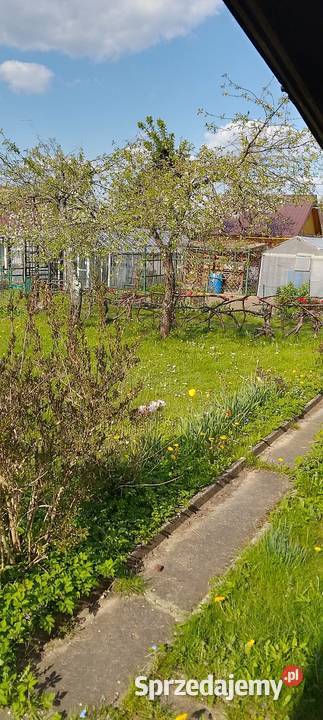 Sprzedam prawo do dzierżawy działki ROD w Relax rekreacyjna Białystok