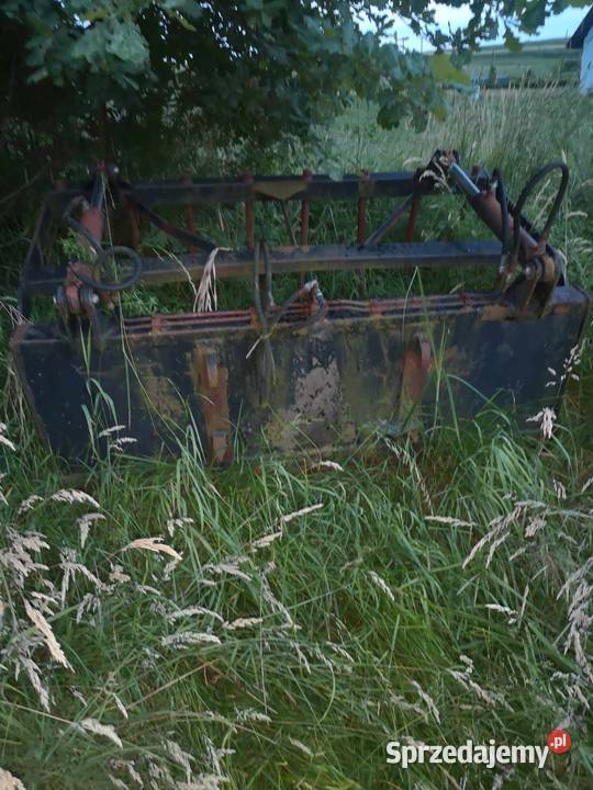 krokodyl Bochnia sprzedam