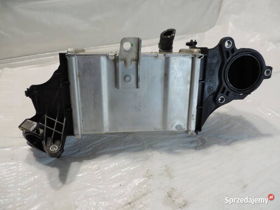 Ford Focus mk4 15d Intercooler JN1Q6C896AC sprzedam