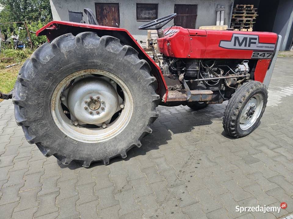 Massey Ferguson 247 lubelskie