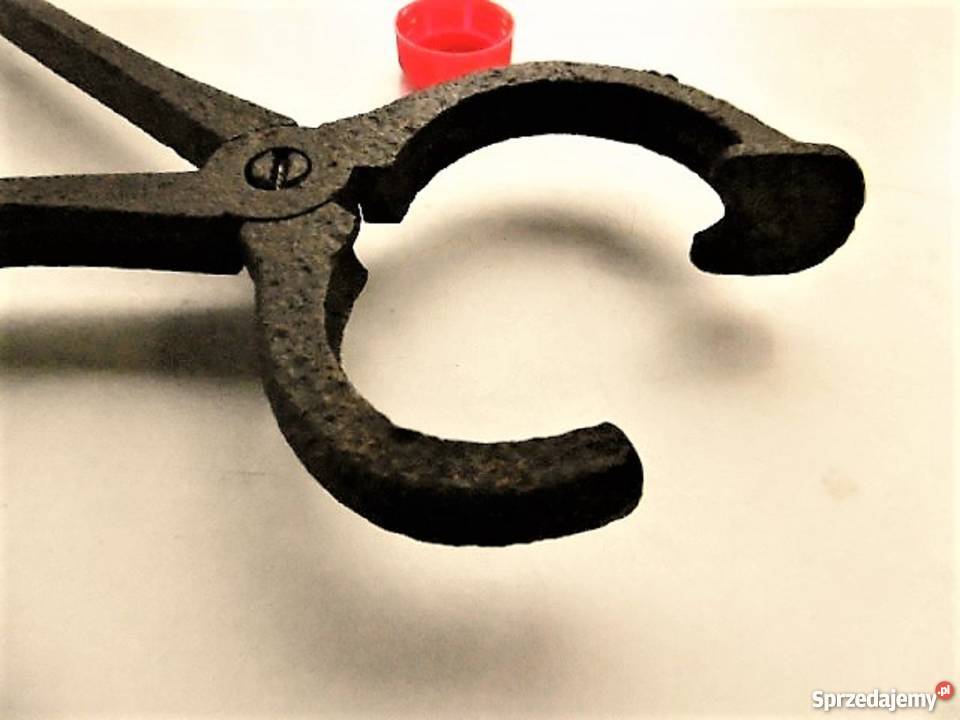 szczypce kleszcze cęgi koła nosowe byk krowa Namysłów