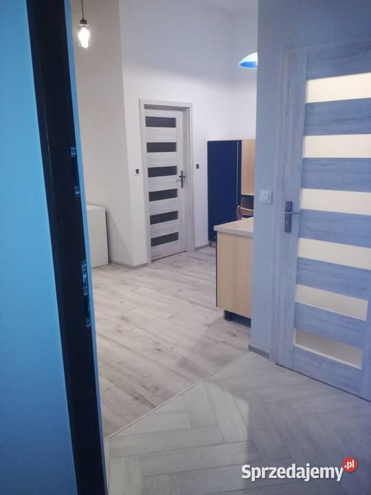 Mieszkanie do wynajęcia Bydgoszcz sprzedam
