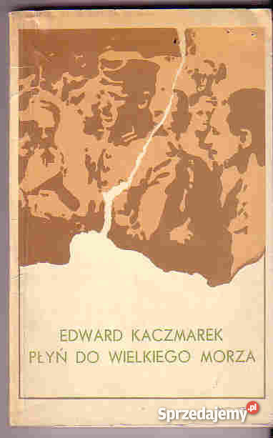 3708 PŁYŃ DO WIELKIEGO MORZA EDWARD KACZMAREK małopolskie Czyrna sprzedam