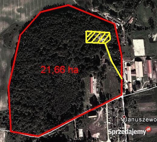 Pałac w Januszewie na Mazurach Januszewo