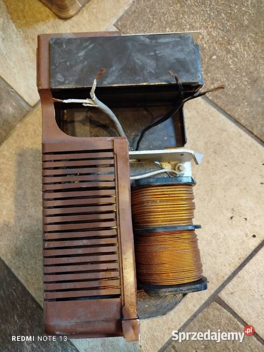 Prostownik rosyjski Stankowo