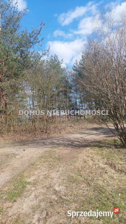 Działka 3511 metrów Grzmiąca
