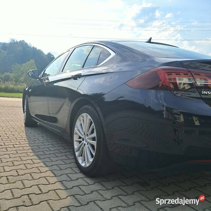 Insignia pierwszy wlasciciel kamera cofania Insignia małopolskie