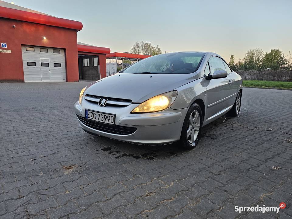 Peugeot 307cc 16lpg 2004r 1600cm3 307 CC łódzkie Emilia