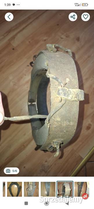 Homonto stare dolnośląskie Kłodzko