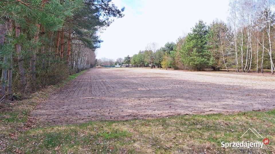 DZIAŁKA terenów zielonych 3664 m2 Zielęcice