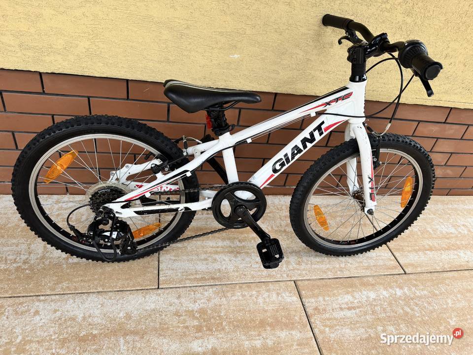 Rower 20 Giant dziecka rowerek miejski