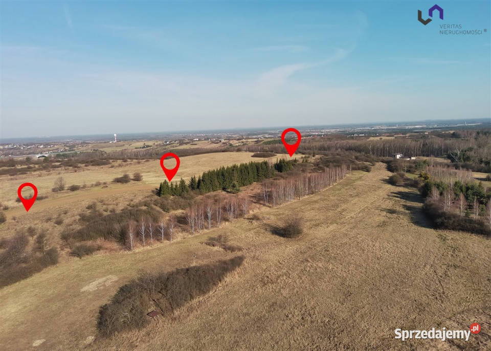 Sprzedam grunt 9729m2 Siemonia Kościuszki prąd