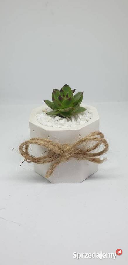 Podziękowania gości