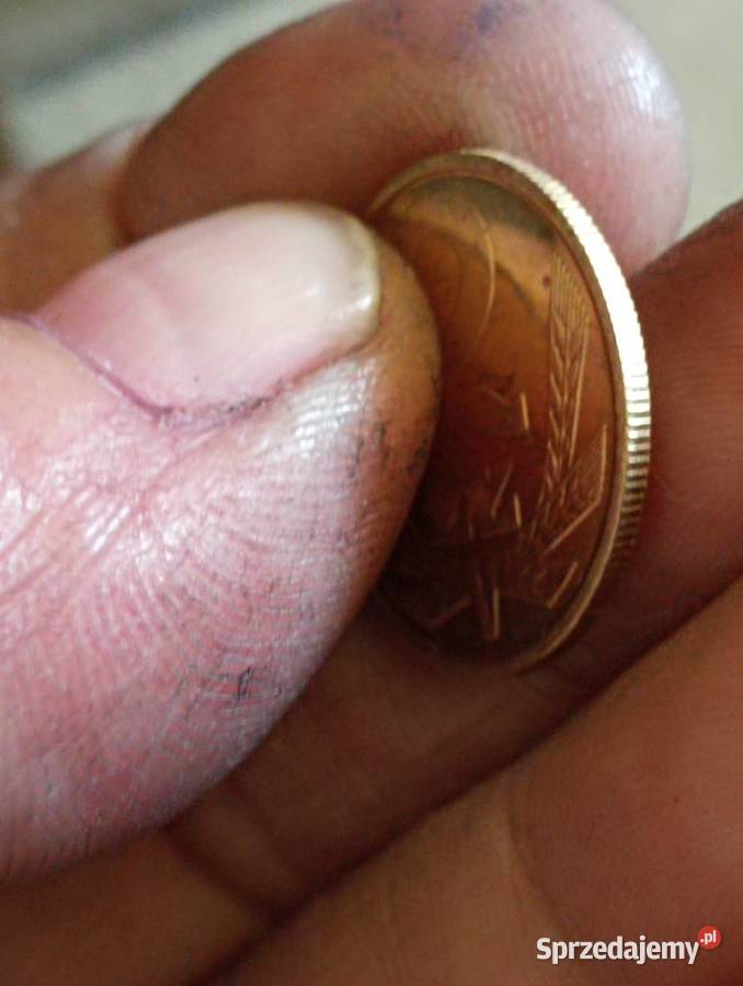 Sprzedam monete 2 zlote 1982r mosiadz lubelskie sprzedam