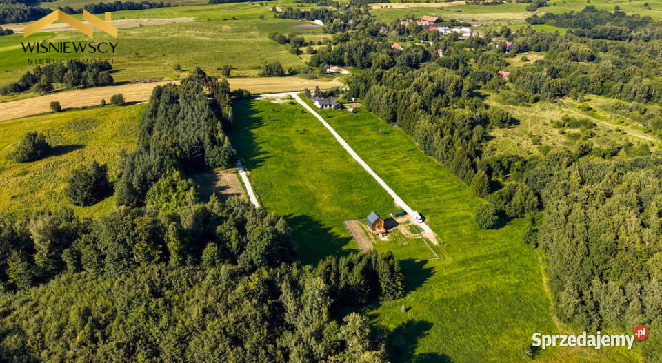 Działka 1028 m z WZ wśród natury Rogowo Sprzedaż sprzedam