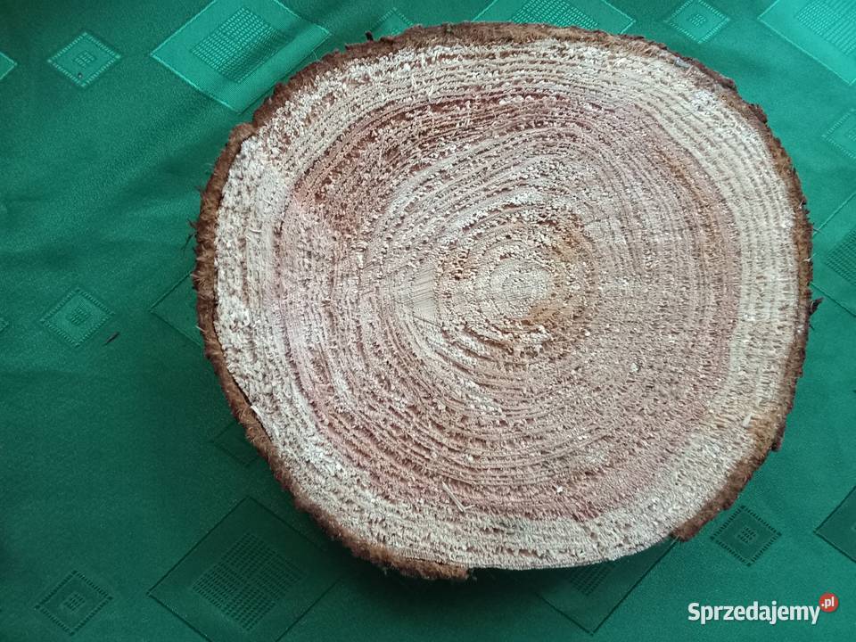 Duży krążek z naturalnego drewna Łódź