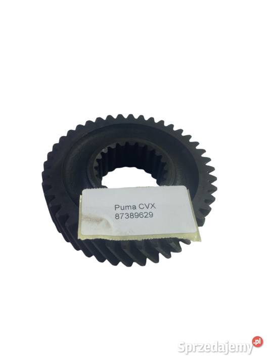 ZĘBATKA Z41 HOLLAND CASE 87389629 Kielce sprzedam