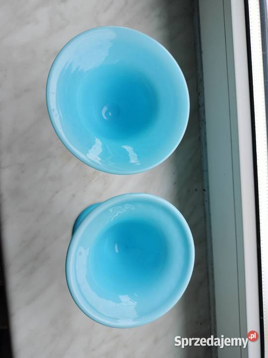 Błękitny pucharek Italy empoli Pozostałe Pozostałe zachodniopomorskie Choszczno