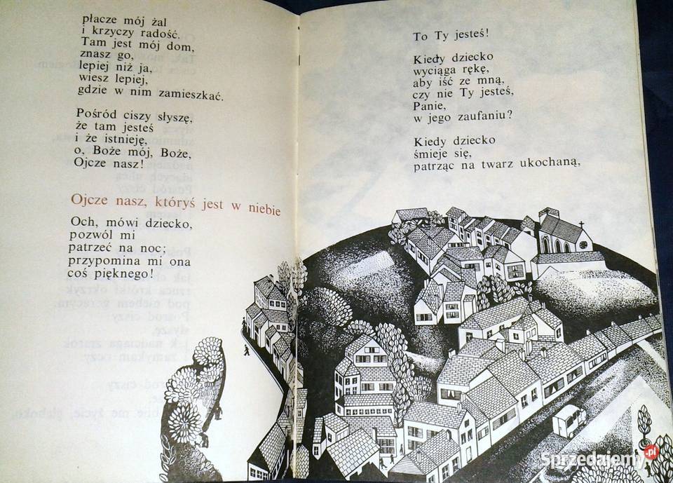 Ojcze nasz Anne dArcy Chełm sprzedam