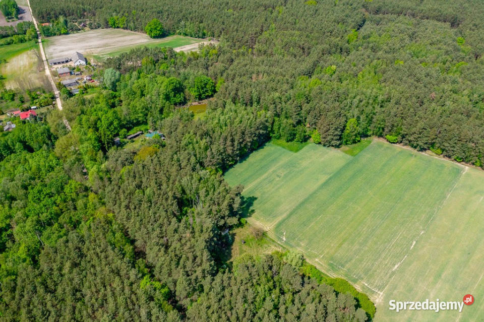 Budowlana 2300 m ze stawem i zielenią Góry Prusinowskie sprzedam