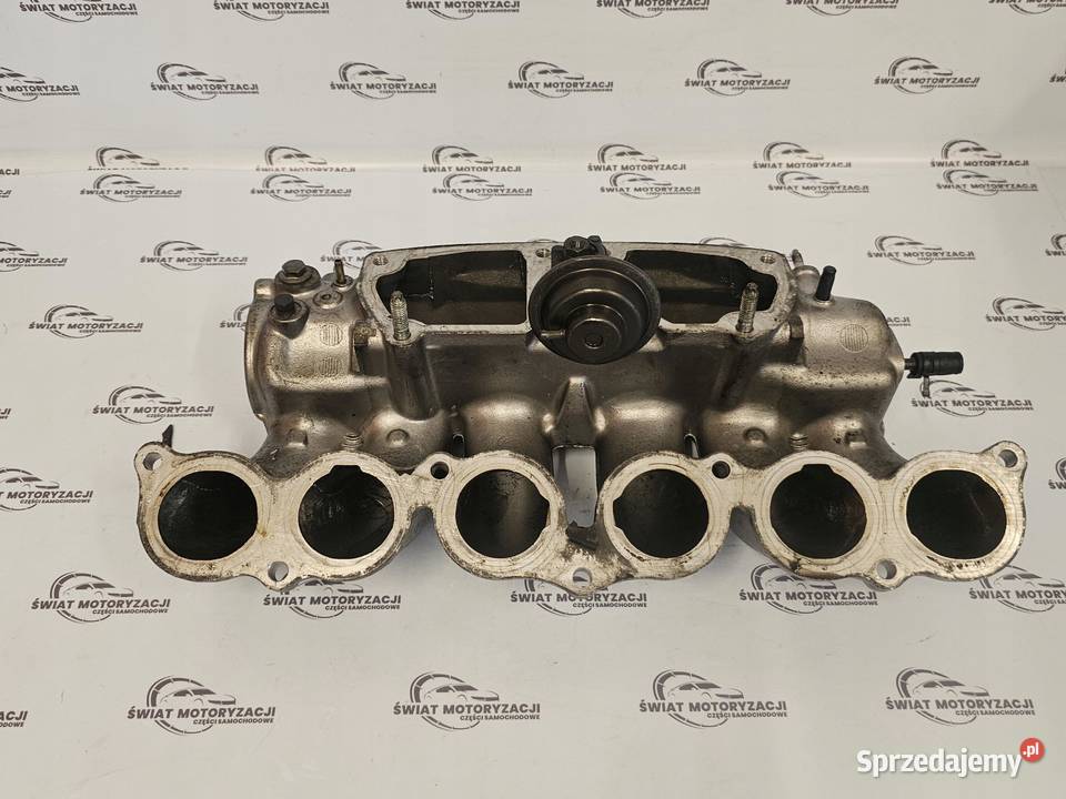 LEXUS GS300 30 24V 2JZ 219 kolektor ssący osobowe świętokrzyskie