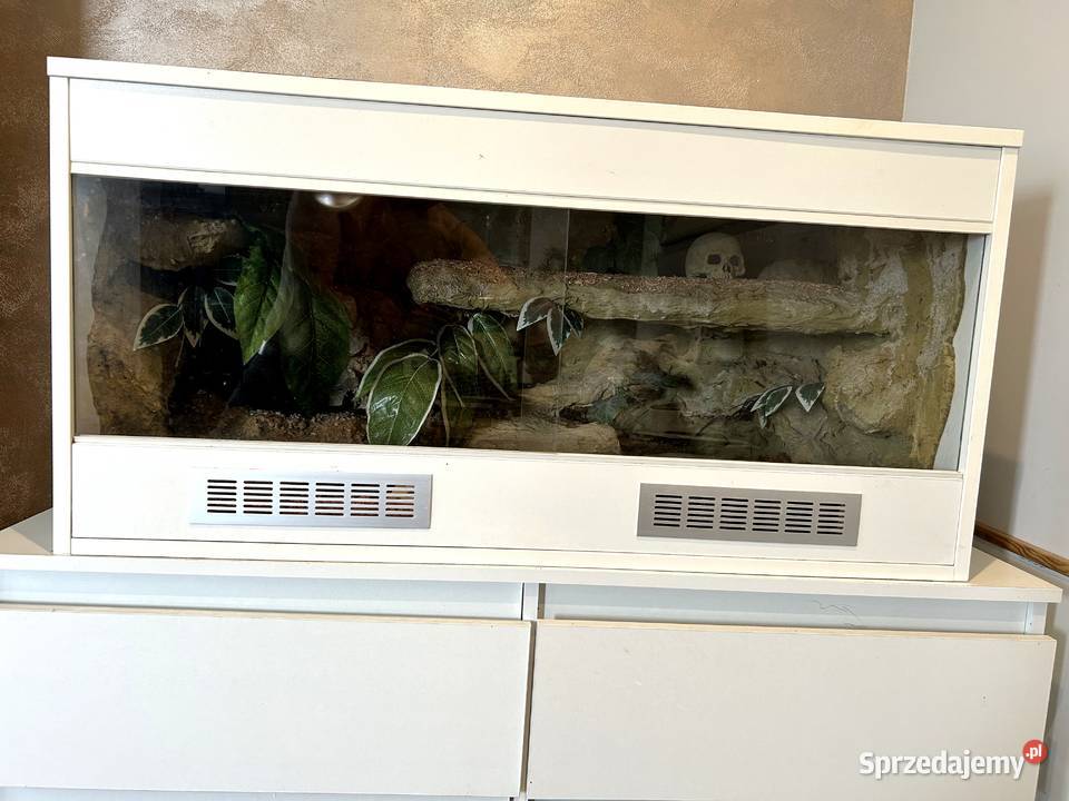 TERRARIUM 100x50x50 Żółw Jaszczurka Gekon Agama Białystok