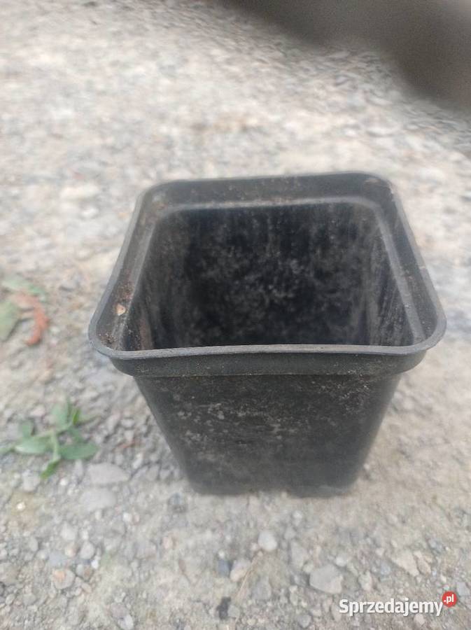 Sprzedam Doniczki Kwadratowe Okrągłe P9P15 05L2L podkarpackie Mielec