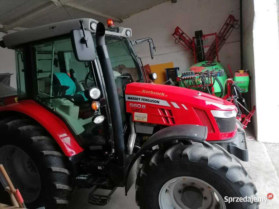 Massey ferguson 5608 5609 polski pierwszy Massey Ferguson