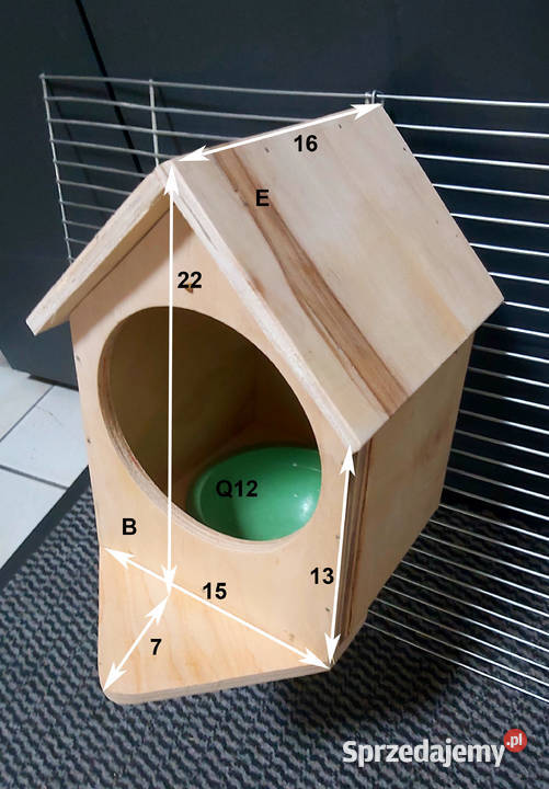 gpłągka diMENTOWEGO I INNE Rybnik