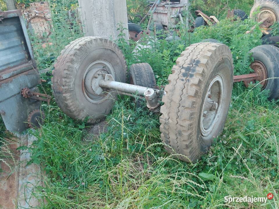 Os z kolami Wyszki sprzedam