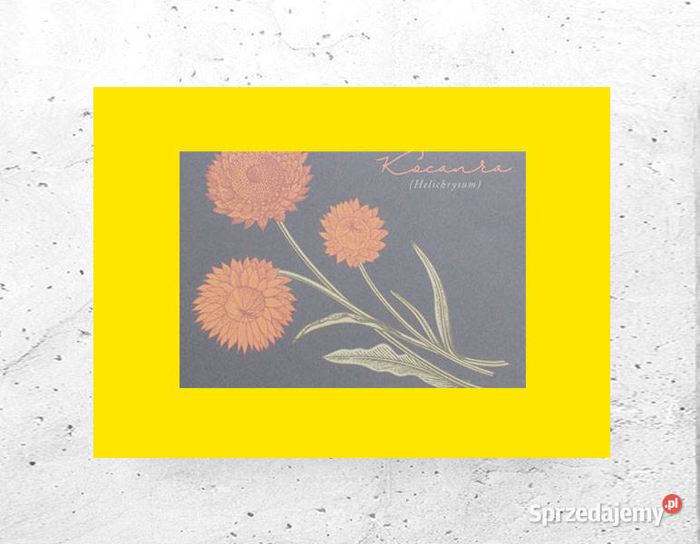 boho plakat A4 vintage plakat z kwiatkami kujawsko-pomorskie Bydgoszcz