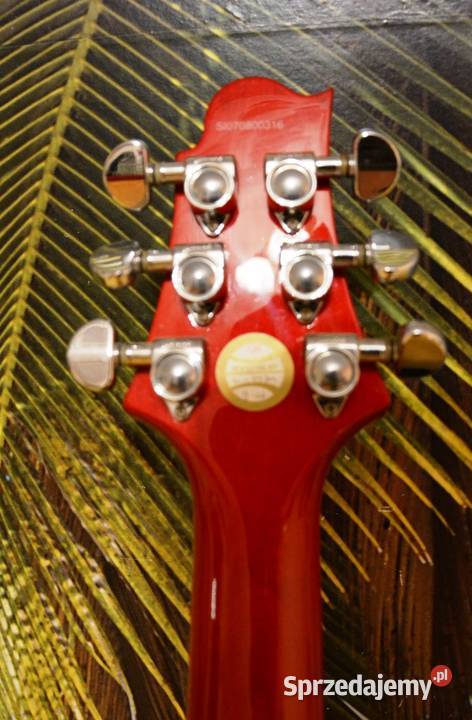 Gitara elektryczna Samick Gitary i akcesoria Kędzierzyn-Koźle