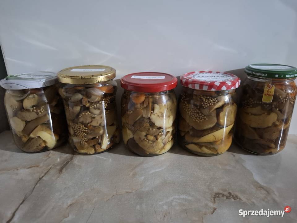 Borowiki podgrzybki marynowane w zalewie octowej Czyżowice sprzedam